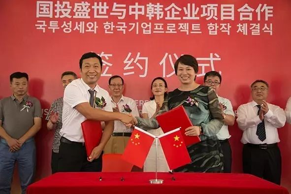 沸石環(huán)保新材料產(chǎn)業(yè)園首家中外合資企業(yè)正式成立-國投盛世