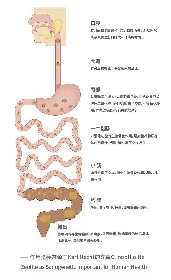 國投盛世與德國沸石納米高科技企業(yè)DMT公司達(dá)成合作意向-國投盛世