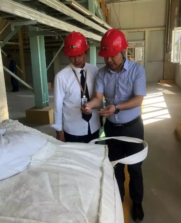 研究院王忠勇副院長一行蒞臨沸石產業基地調研-國投盛世