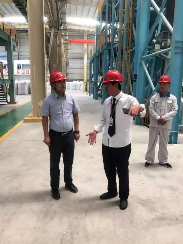 研究院王忠勇副院長一行蒞臨沸石產業基地調研-國投盛世