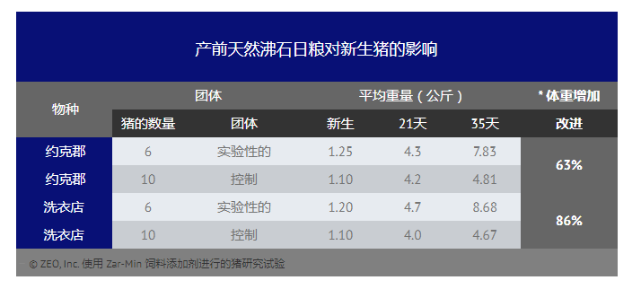 天然沸石飼料添加劑有益于豬的健康和生長