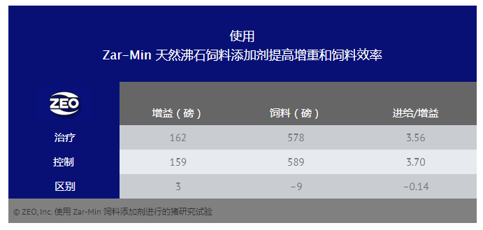 天然沸石飼料添加劑有益于豬的健康和生長