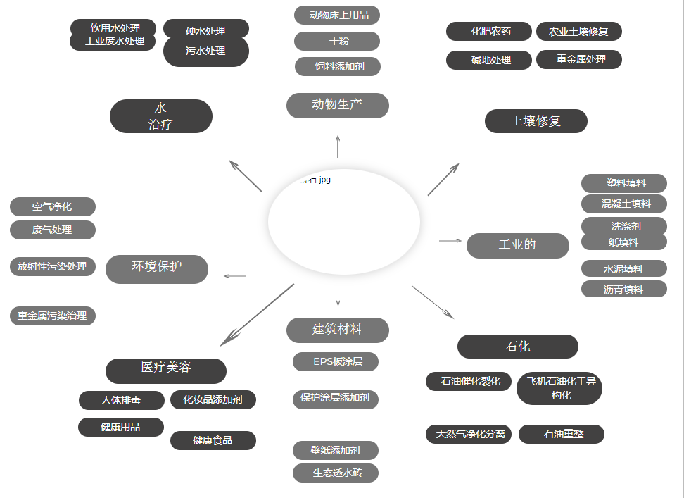 斜發沸石及應用