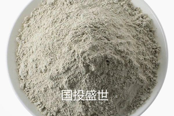 國際沸石