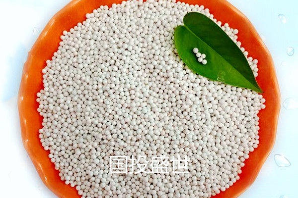 沸石