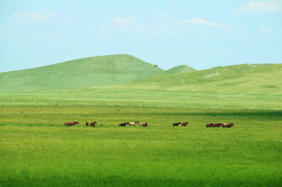 國投盛世“皇家獵苑·草原行”團建活動圓滿結(jié)束-國投盛世