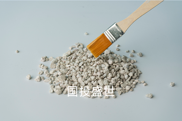 沸石應用于廢水處理的工程應用-國投盛世