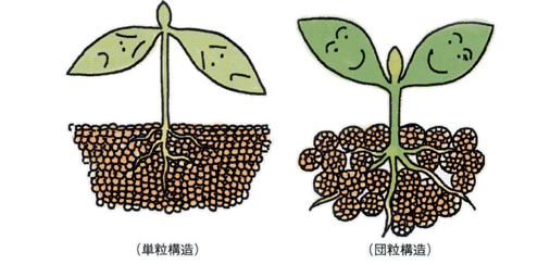 沸石如何應用于土壤改良領域？