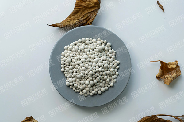 沸石未來10年將實現5%的正復合年增長率-國投盛世