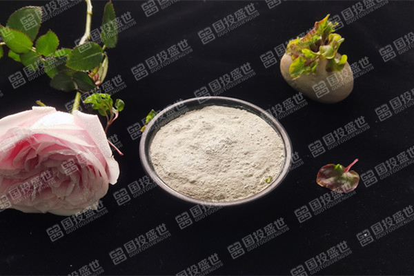 沸石的性質與應用范圍