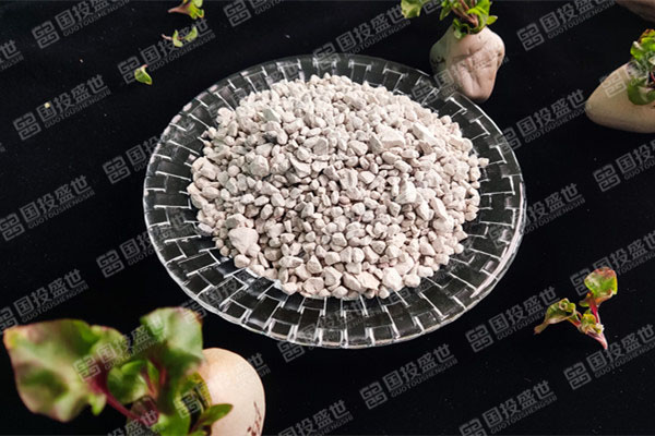 沸石在廢水處理中的應用-國投盛世