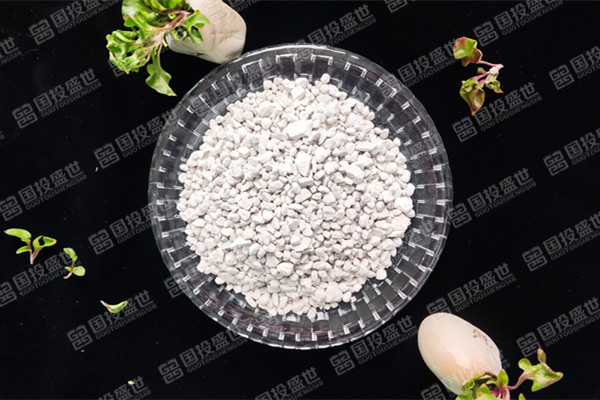 沸石在環境修復中的作用有什么？