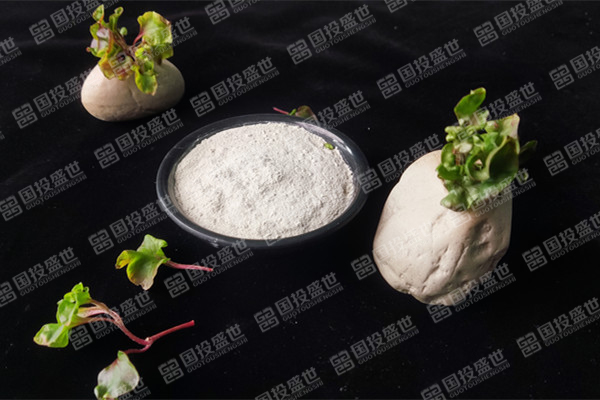 目前沸石飼料添加劑價格是多少？-國投盛世