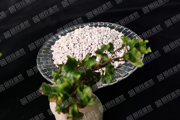 國投盛世沸石在垃圾處理中的應用