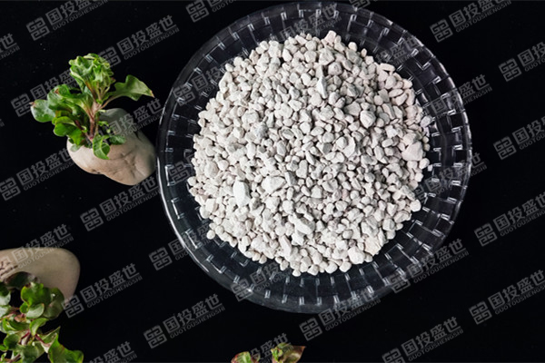 沸石在石油化工中的應用-國投盛世