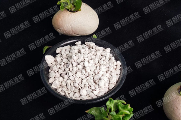 種植多肉植物時應用國投盛世沸石的好處