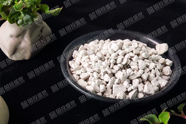 國投盛世的沸石應用于服裝領域效果如何？
