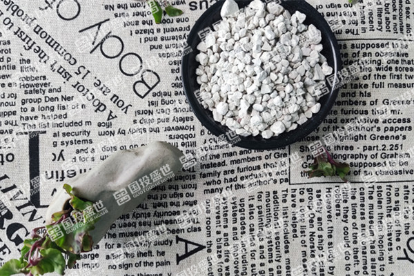 沸石在多肉植物養(yǎng)護(hù)中的作用-國投盛世