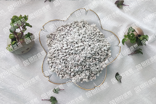 沸石顆粒在全球市場的應用
