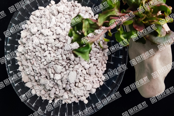 沸石在人工濕地中的作用