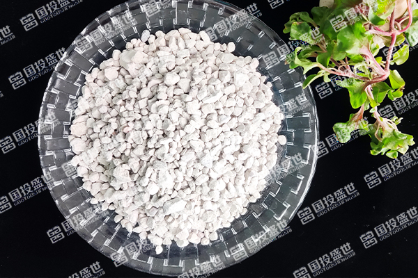 沸石在石油化工領(lǐng)域的應(yīng)用與功能-國投盛世