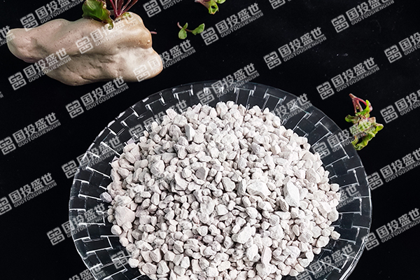 沸石與生物之間的關系