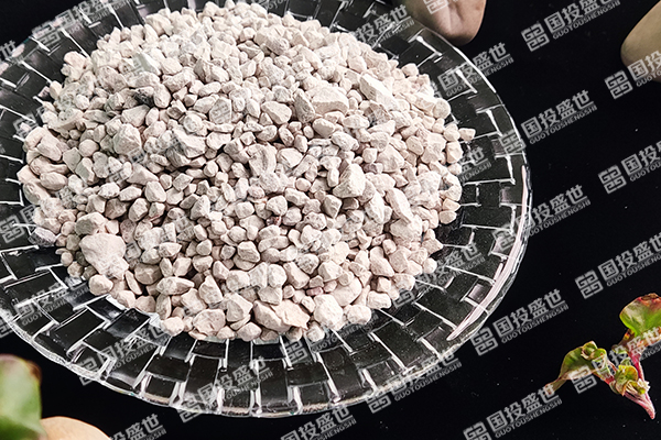 沸石貓砂：走進未來的寵物健康與環保之路