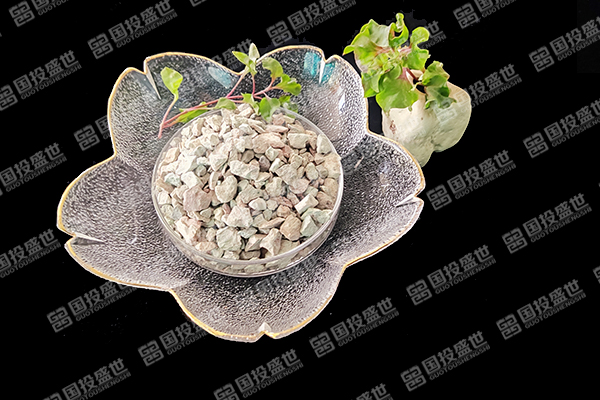 沸石：改變人工濕地污水處理的未來