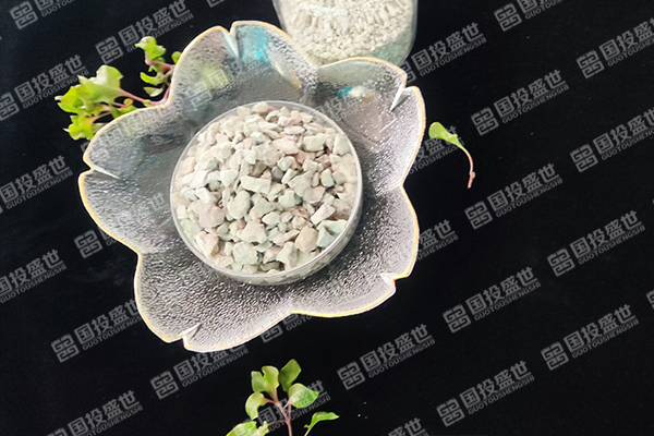 沸石在人工濕地生態(tài)系統(tǒng)中的應(yīng)用