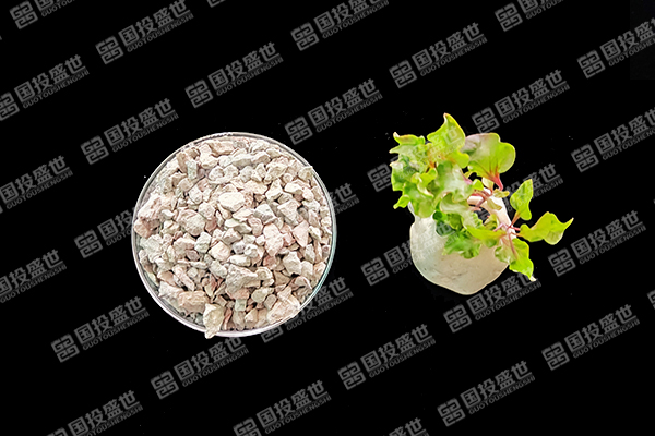 沸石能否成為水稻種植的綠色伙伴？
