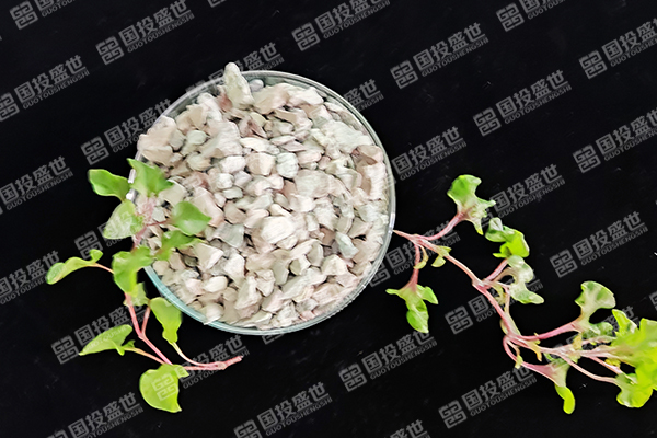 沸石在蘋果樹種植中有哪些優勢？