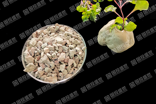 沸石如何提升紅薯種植效果？