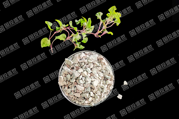沸石能否成為草莓種植的好幫手？