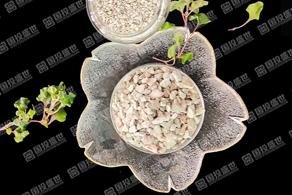 沸石能否提升蔬菜種植效果？