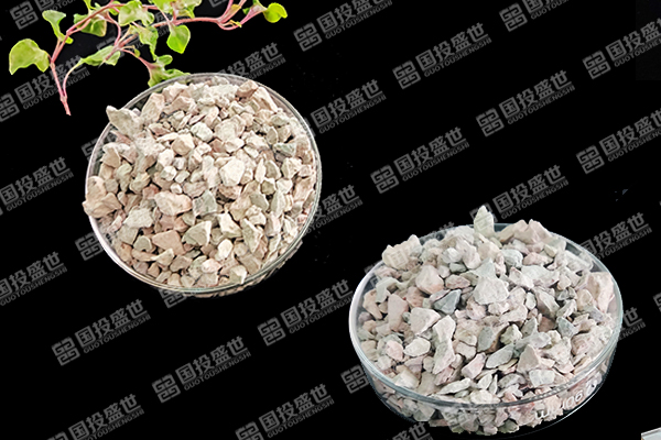 天然沸石如何助力番茄種植邁向綠色高效？