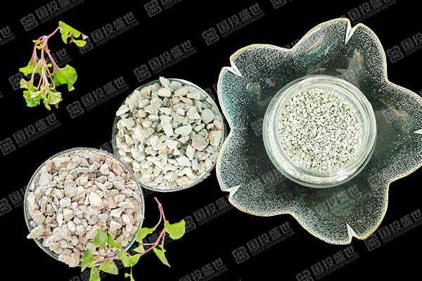 沸石在葡萄種植上展現的顯著改善是？-國投盛世