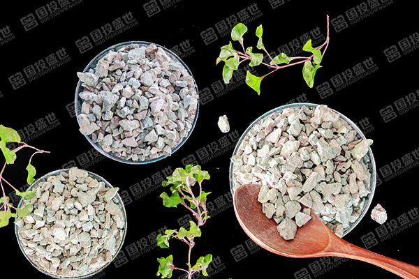 沸石在海鮮養殖中的廣泛應用及其益處-國投盛世