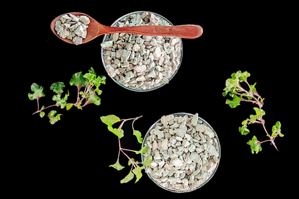 種植黃豆時(shí)能使用沸石嗎？