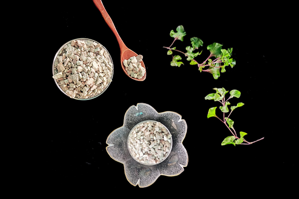 天然沸石對(duì)咖啡種植有什么影響？-國投盛世