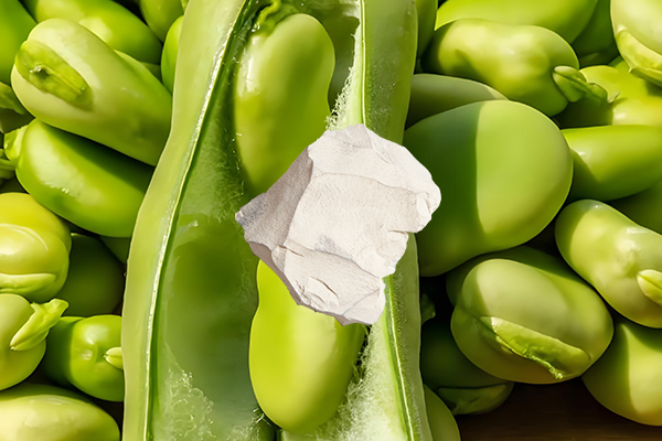 蠶豆種植時(shí)使用天然沸石能否提高產(chǎn)量？-國(guó)投盛世