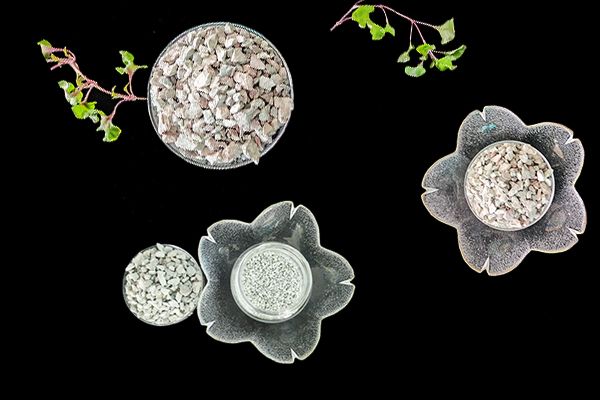 沸石能為芥菜增產(chǎn)提供幫助嗎？