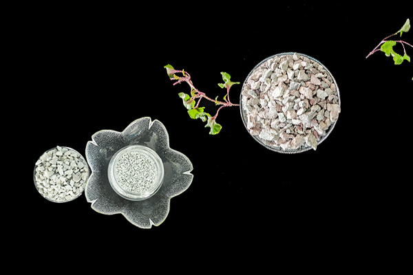 沸石能否助力空心菜產量提升？-國投盛世