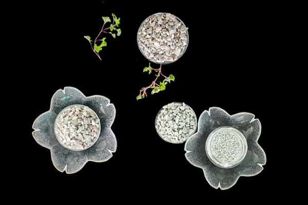 小米辣種植能借助沸石提升品質嗎？-國投盛世