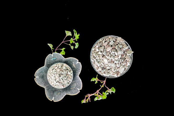 沸石能為扁豆種植帶來哪些改變？