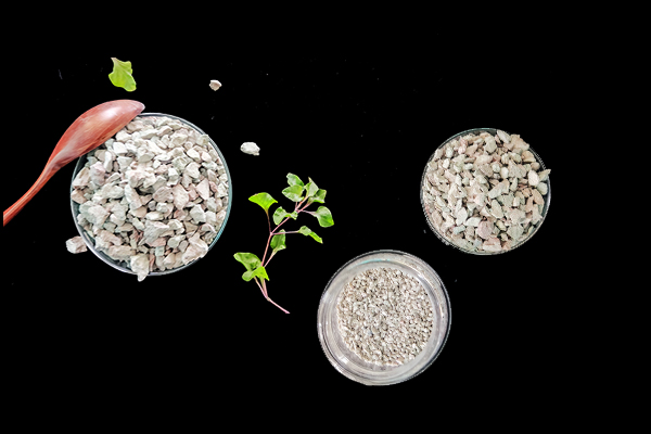 何時添加沸石于大麥種植最有效？
