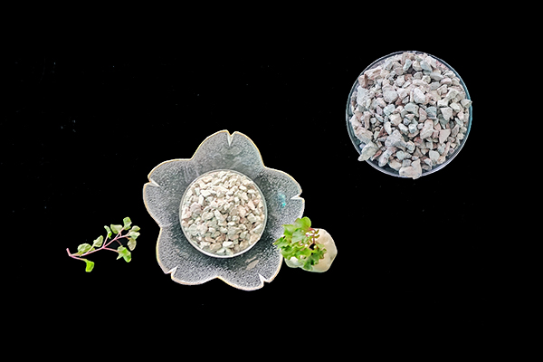 種植生菜時使用沸石能增產(chǎn)嗎？