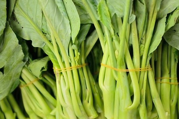 想要空心菜增產，就要在種植時要加入它了